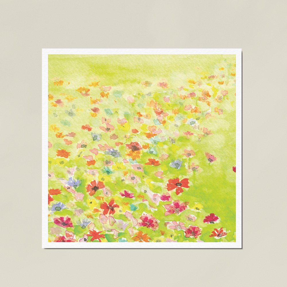 Veld vol bloemen
